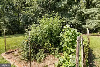 8350 Rapidan Hunt Lane, Rapidan, VA 22733 - Photo 62