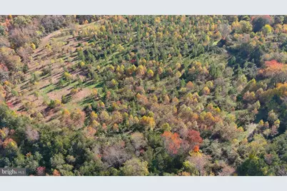Old Barboursville Road, Gordonsville, VA 22942 - Photo 6