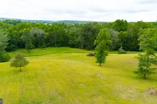 6542 Pine Stake Rd, Culpeper, VA 22701 - Photo 60