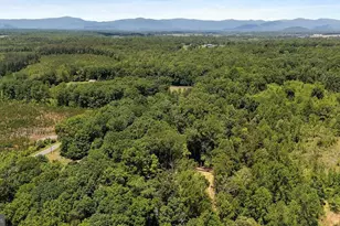 12121 Albano Rd, Barboursville, VA 22923 - Photo 30
