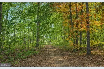 36011 Coyote Trail, Locust Grove, VA 22508 - Photo 46