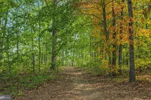 36011 Coyote Trail, Locust Grove, VA 22508 - Photo 46