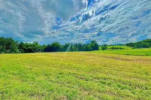 Lot 8 Zachary Taylor Hwy, Unionville, VA 22567 - Photo 1