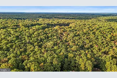 0 Old Plank Road, Locust Grove, VA 22508 - Photo 2