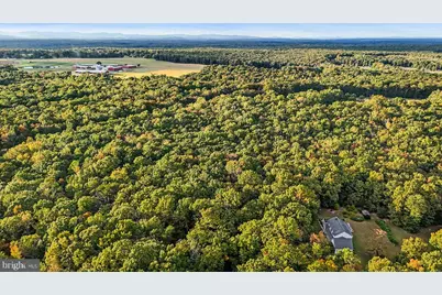 0 Old Plank Road, Locust Grove, VA 22508 - Photo 24