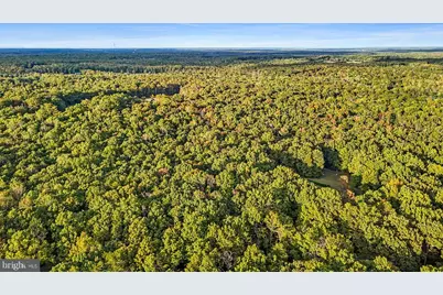 0 Old Plank Road, Locust Grove, VA 22508 - Photo 6
