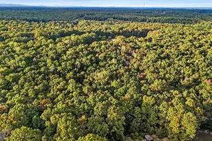 0 Old Plank Rd, Locust Grove, VA 22508 - Photo 1