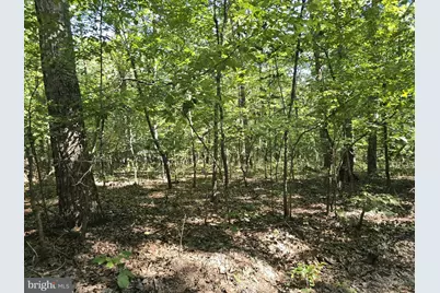 27547 Old Office Road, Culpeper, VA 22701 - Photo 22