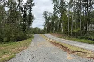 27028 Tatum Rd, Unionville, VA 22567 - Photo 1