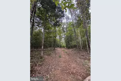 Old Office Road, Locust Grove, VA 22508 - Photo 2