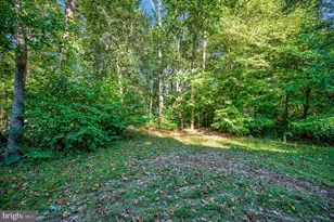211 Battlefield Rd, Locust Grove, VA 22508 - Photo 44