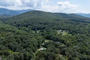 114 Americana Rd, Luray, VA 22835 - Photo 62