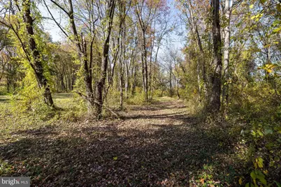 0 Dry Run Road, Luray, VA 22835 - Photo 52