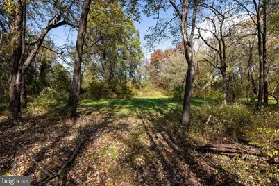 0 Dry Run Road, Luray, VA 22835 - Photo 64