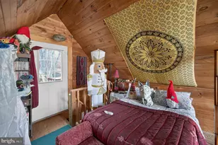 125 National Forest Access Rd, Luray, VA 22835 - Photo 14