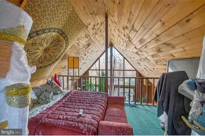 125 National Forest Access Road, Luray, VA 22835 - Photo 2