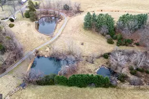 1159 Pine Grove Rd, Stanley, VA 22851 - Photo 134