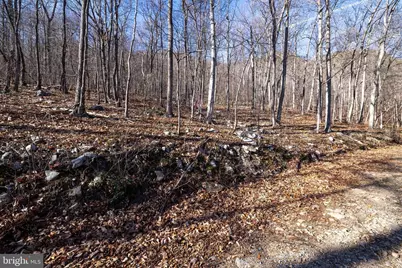 F22 & F23 High Pines Road, Luray, VA 22835 - Photo 42