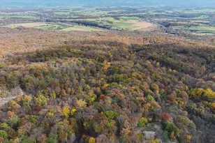 187 Holly Hl Rd, Luray, VA 22835 - Photo 14