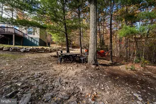 187 Holly Hl Rd, Luray, VA 22835 - Photo 58