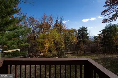 187 Holly Hill Road, Luray, VA 22835 - Photo 46