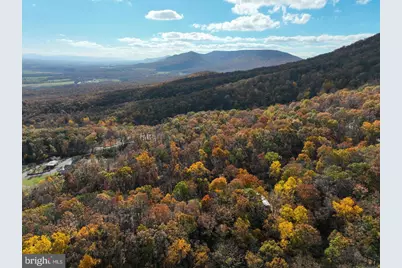 187 Holly Hill Road, Luray, VA 22835 - Photo 10