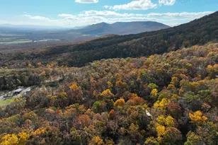 187 Holly Hl Rd, Luray, VA 22835 - Photo 10