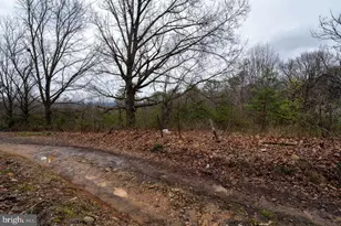 533 Railroad Ave, Shenandoah, VA 22849 - Photo 16