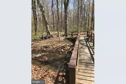 550 Cross Mountain Road, Luray, VA 22835 - Photo 10