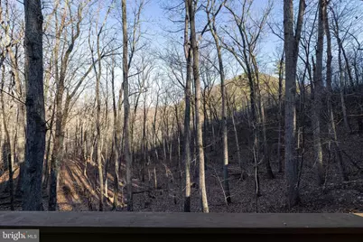 103 Buzzard View Place, Shenandoah, VA 22849 - Photo 54