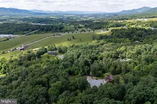 259 Log Home Pl, Stanley, VA 22851 - Photo 106