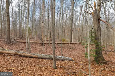 Lot 19 Riverbend Dr, Luray, VA 22835 - Photo 32