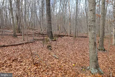 Lot 19 Riverbend Dr, Luray, VA 22835 - Photo 34