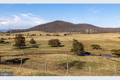 5329 Farmview Road, Stanley, VA 22851 - Photo 92