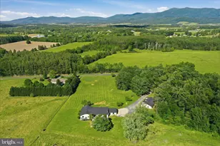 1168 Piney Woods Rd, Luray, VA 22835 - Photo 56