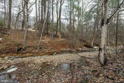 2800 Rocky Branch Road, Luray, VA 22835 - Photo 102