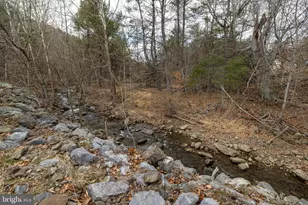 2800 Rocky Branch Rd, Luray, VA 22835 - Photo 104