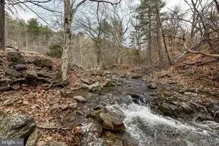 2800 Rocky Branch Rd, Luray, VA 22835 - Photo 4