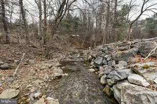 2800 Rocky Branch Rd, Luray, VA 22835 - Photo 98