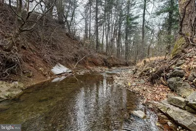 2800 Rocky Branch Road, Luray, VA 22835 - Photo 100