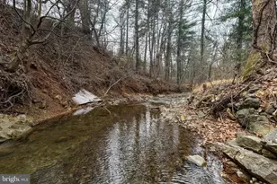 2800 Rocky Branch Rd, Luray, VA 22835 - Photo 100