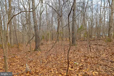 Lot 21 Riverbend Dr, Luray, VA 22835 - Photo 30