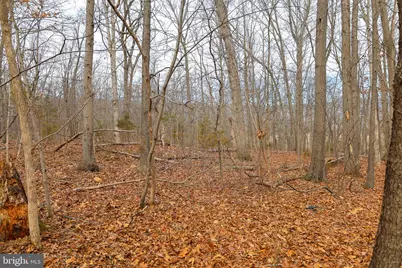 Lot 21 Riverbend Dr, Luray, VA 22835 - Photo 32