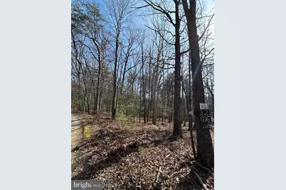 301 Abbotts Lane, Rileyville, VA 22650 - Photo 2