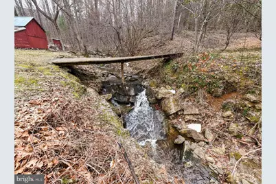 1918 Jewell Hollow Road, Luray, VA 22835 - Photo 74