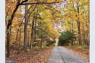 459 Springfield Estates Dr, Rileyville, VA 22650 - Photo 38