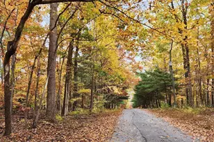 459 Springfield Estates Dr, Rileyville, VA 22650 - Photo 38