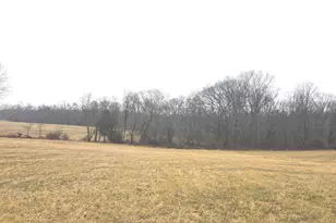 459 Springfield Estates Dr, Rileyville, VA 22650 - Photo 36