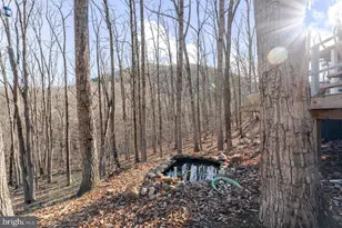 345 Wildwood Ln, Shenandoah, VA 22849 - Photo 36