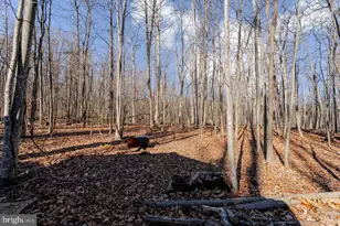 345 Wildwood Ln, Shenandoah, VA 22849 - Photo 32